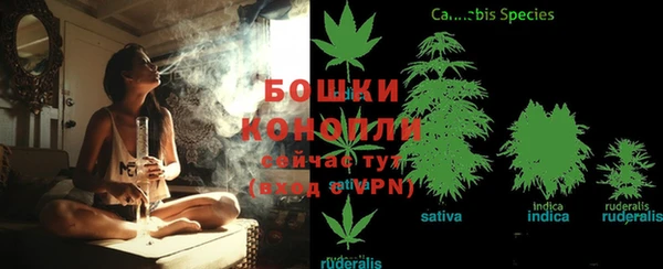ECSTASY Нязепетровск