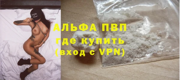 гидра Няндома