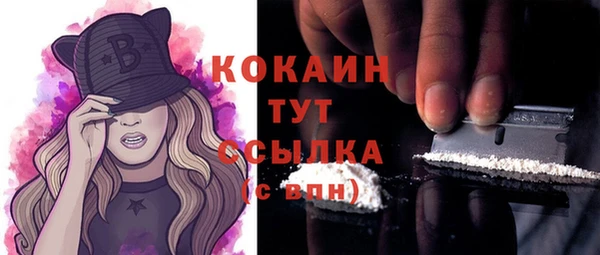 гидра Няндома