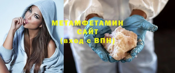 гидра Няндома