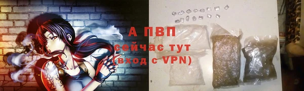 тгк Новокубанск