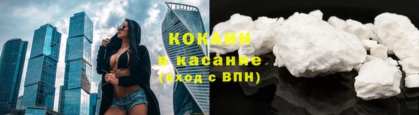 эйфоретик Бикин