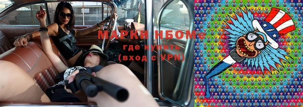 альфа пвп Новодвинск