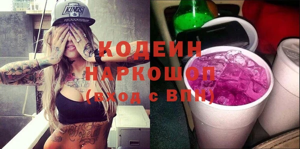 гидра Няндома