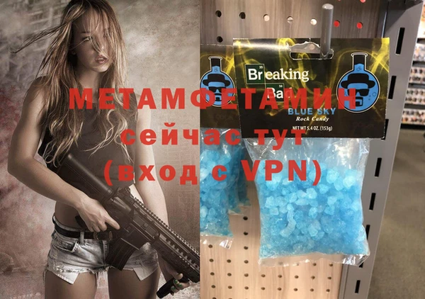 гидра Няндома
