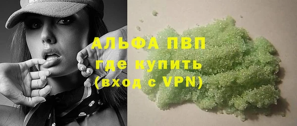 альфа пвп Новодвинск