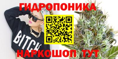 СК Аргун