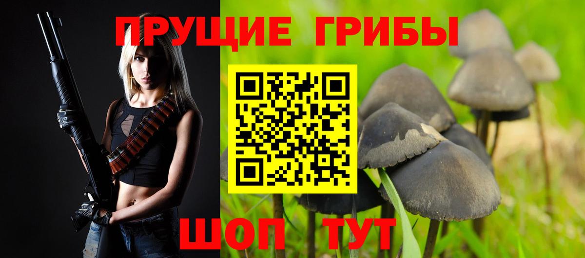 Псилоцибиновые грибы Psilocybe Котовск