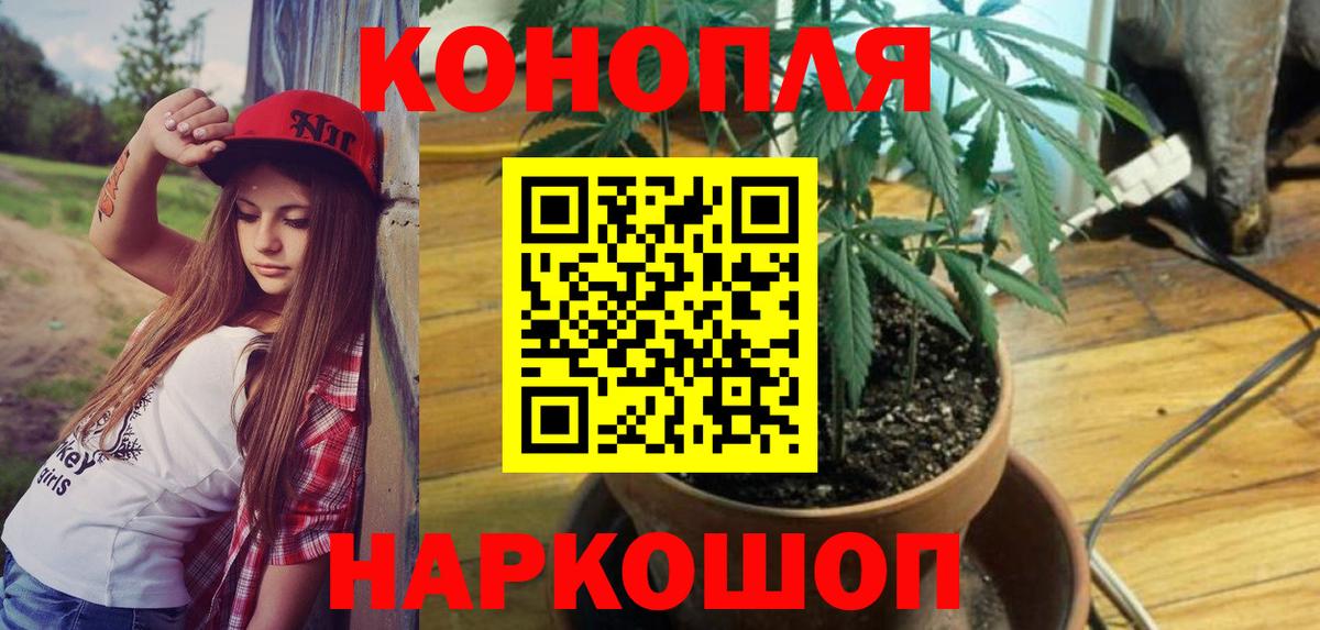 Бошки марихуана ГИДРОПОН  Конопля OG Kush  Бошки Шишки SATIVA & INDICA  Котовск 